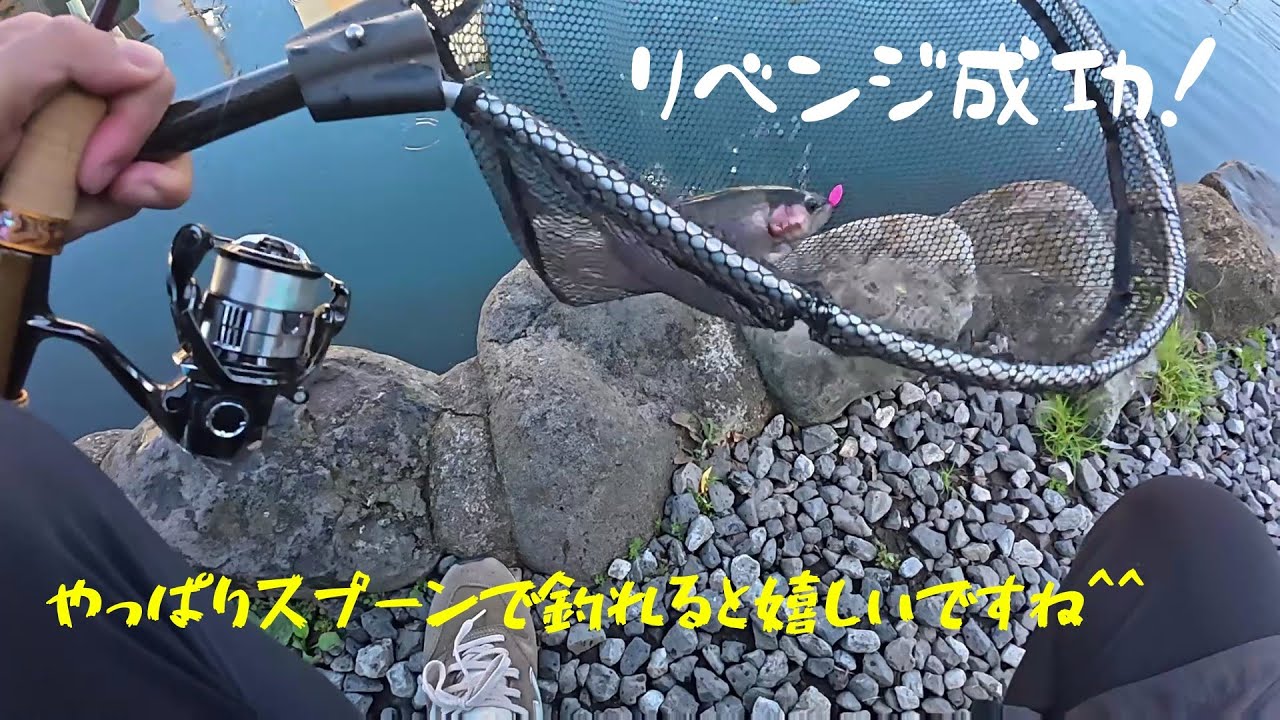 朝霞ガーデン】7月21日釣行記録【エリアトラウト】 - YouTube