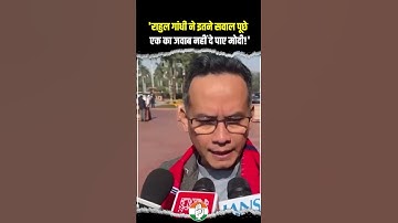 Gaurav Gogoi | Rahul Gandhi | Parliament
