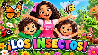 🐝 LOS INSECTOS 🦋 | Miss Anita