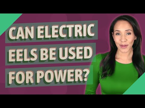 Video: Kan cscl elektrisiteit gelei?