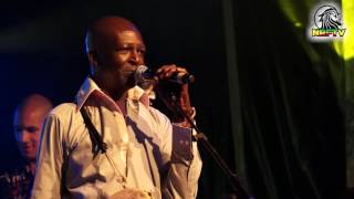 Live Touré Kunda Nomade Reggae Festival