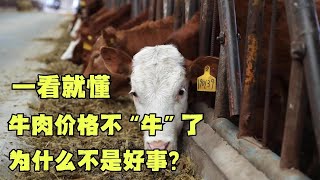 牛肉价格不“牛”了 为什么不是好事？#牛肉 #牛肉价格 #看海识风 #一看就懂