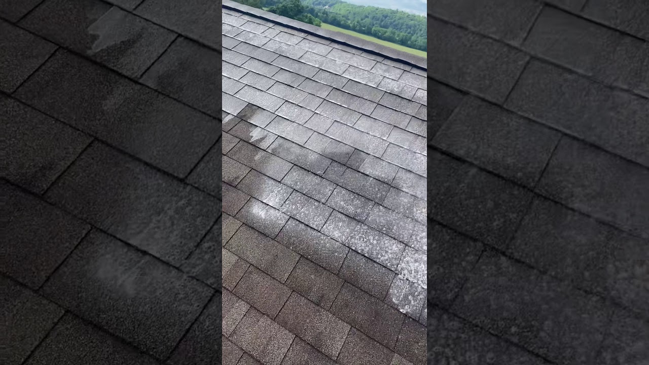 Soft Washing Roof Shingles YouTube