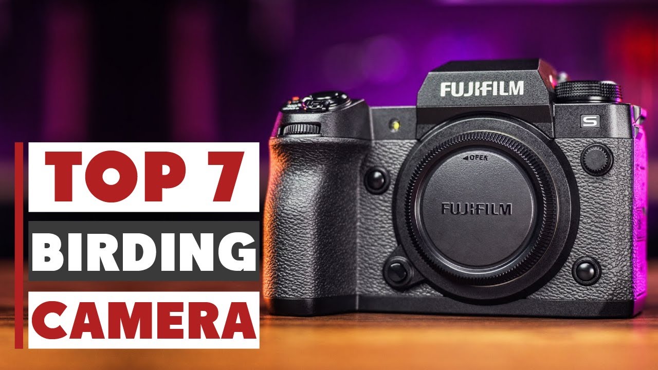 7 Best Birding Cameras for Stunning Wildlife Shots