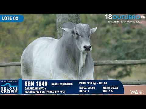 LOTE 02 SGN 1640