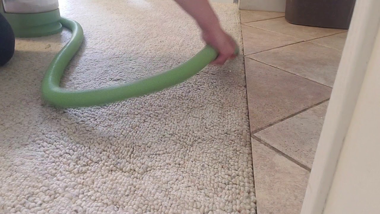 Spot cleaning carpets and stairs YouTube