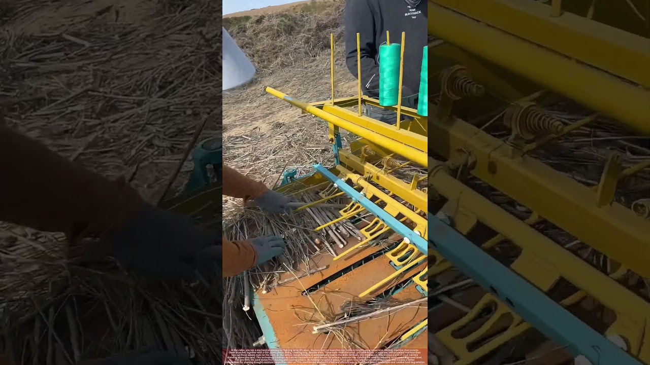 The Mechanical Way to Fight Desertification: Sand-Stabilizing Grids