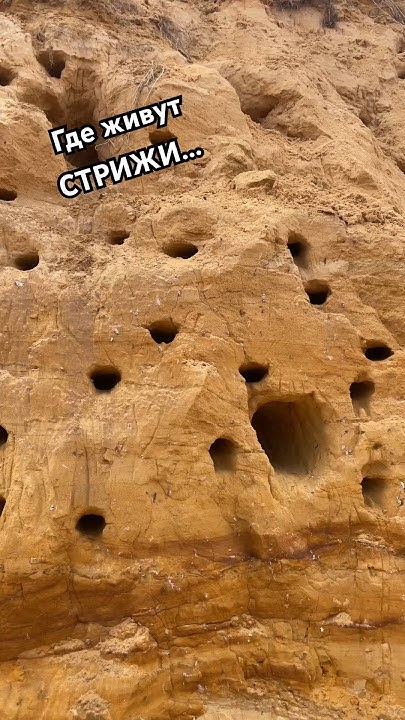 Гора из песка и белой глины #заречье #деревня #путешествия #shotrs # ...