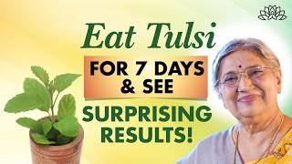 Tulsi Leaves Benefits Eat Daily For Amazing Results Dr Hansaji