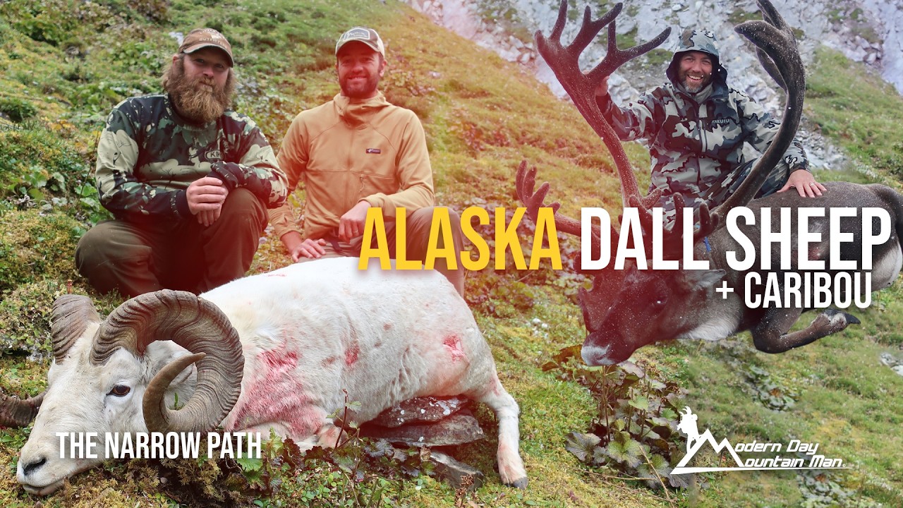 Alaska Dall Sheep & Caribou Hunting Adventure in the Brooks Range | The Narrow Path