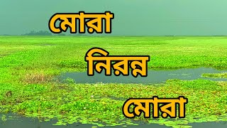 { Mora nironno mora }   [ মোরা নিরন্ন মোরা ]  হবিগঞ্জ /সিলেট /বাংলাদেশ