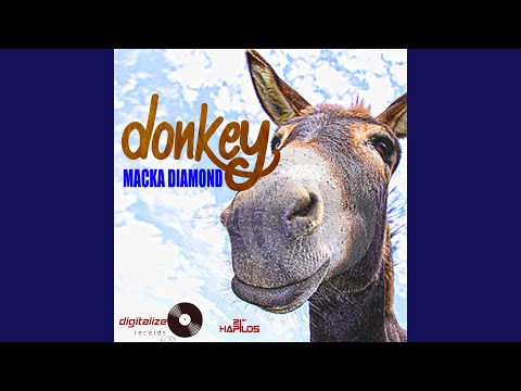 Donkey