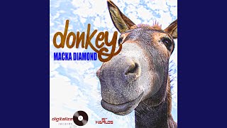 Donkey