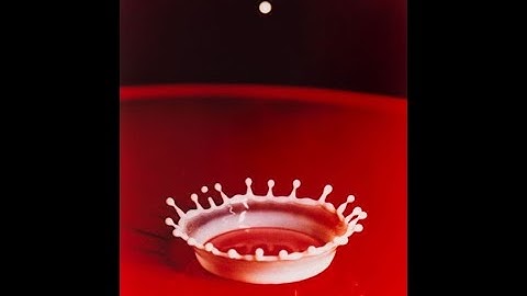 CAM Look | Milk Drop Coronet by Harold Edgerton | 1/5/21