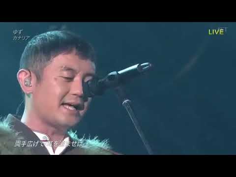 THE MUSIC DAY ゆず/カナリア