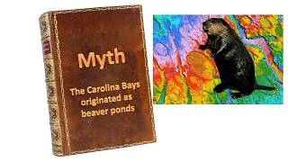 Daily Dose of Carolina Bays - Beavers made the bays