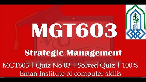 MGT603 | Quiz No.03 | Solved Quiz | 100%Eman Institute of computer skills