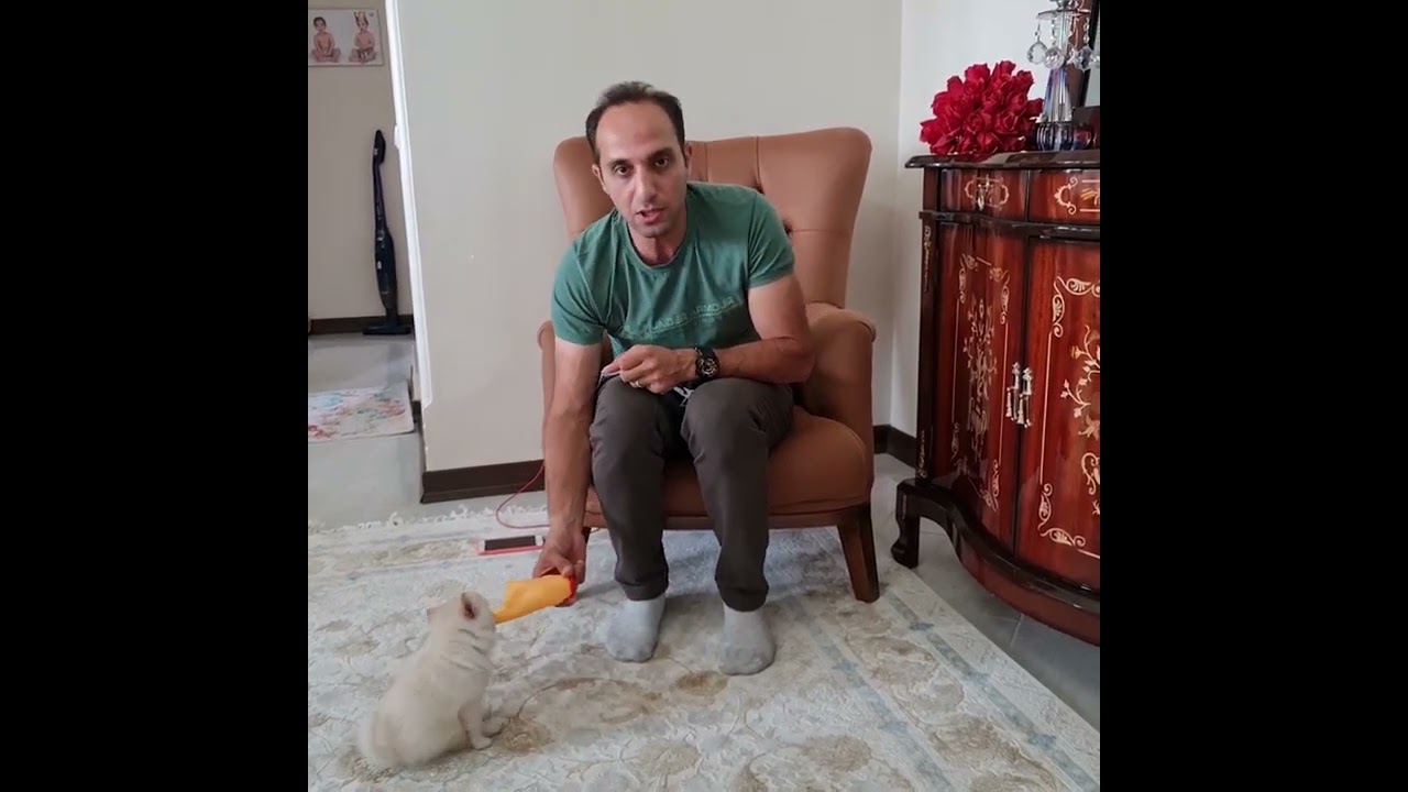 مجله‌ تربیت و رفع ناهنجاری سگها