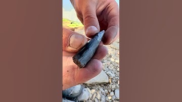 Jurassic Squid Found in Soft Shale 😳