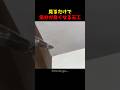 見るだけで気分が良くなる石工