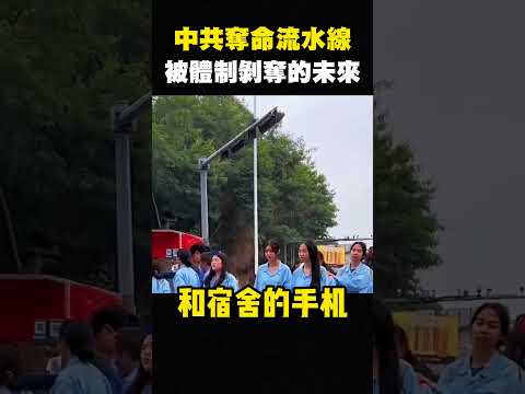 八炯：中国遥遥领先，台湾人看傻，小粉红月入一千，都想来台湾定居 shorts
