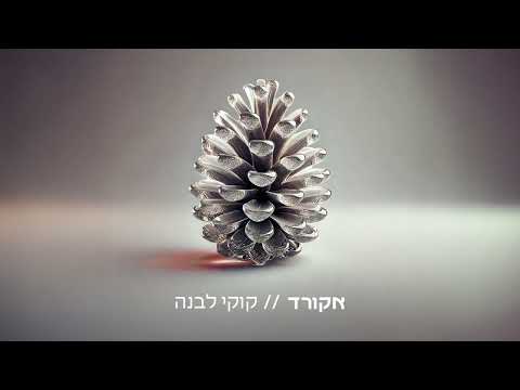 קוקי לבנה \\ אחרי המבול