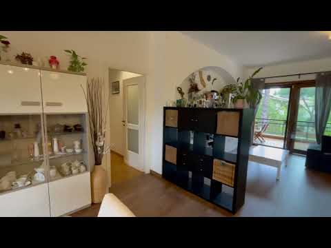 IMG 7301 - YouTube