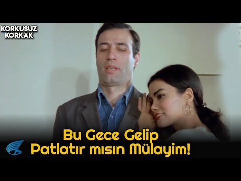 Korkusuz Korkak | Bu Gece Gelip Patlatır mısın Mülayim!