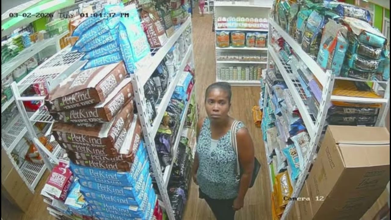 3 CAUGHT SHOPLIFTING AT MOVIETOWNE POS