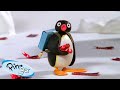 Pingu Hard at Work 🐧 | Pingu - Official Channel | Cartoons For Kids