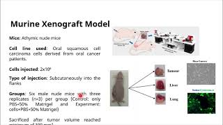 Recent Trends In Biomedical Electronic System Design