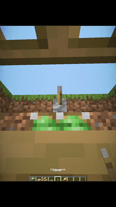 Minecraft Legal XRay For Lagva Moment