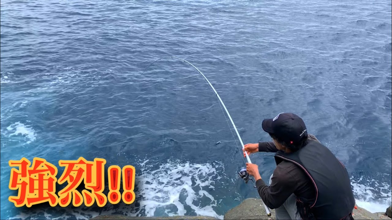 デカい！？一級磯「美作」で釣れた魚とは？【後編】