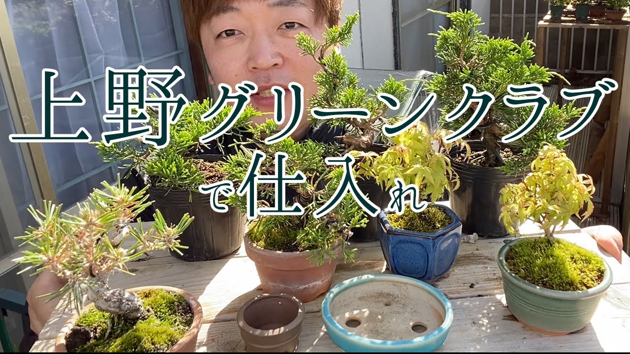 I Got Some New Bonsai Material at Ueno Green Club - YouTube