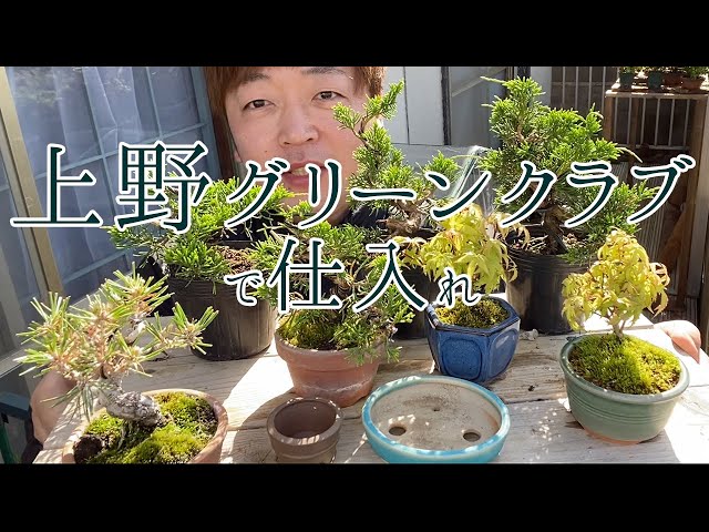 I Got Some New Bonsai Material at Ueno Green Club - YouTube