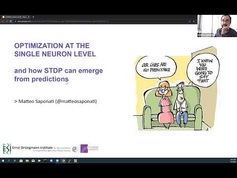 Optimization at the Single Neuron Level:​ Prediction of Spike Sequences and Emergence of Synaptic Plasticity Mechanisms recording thumbnail