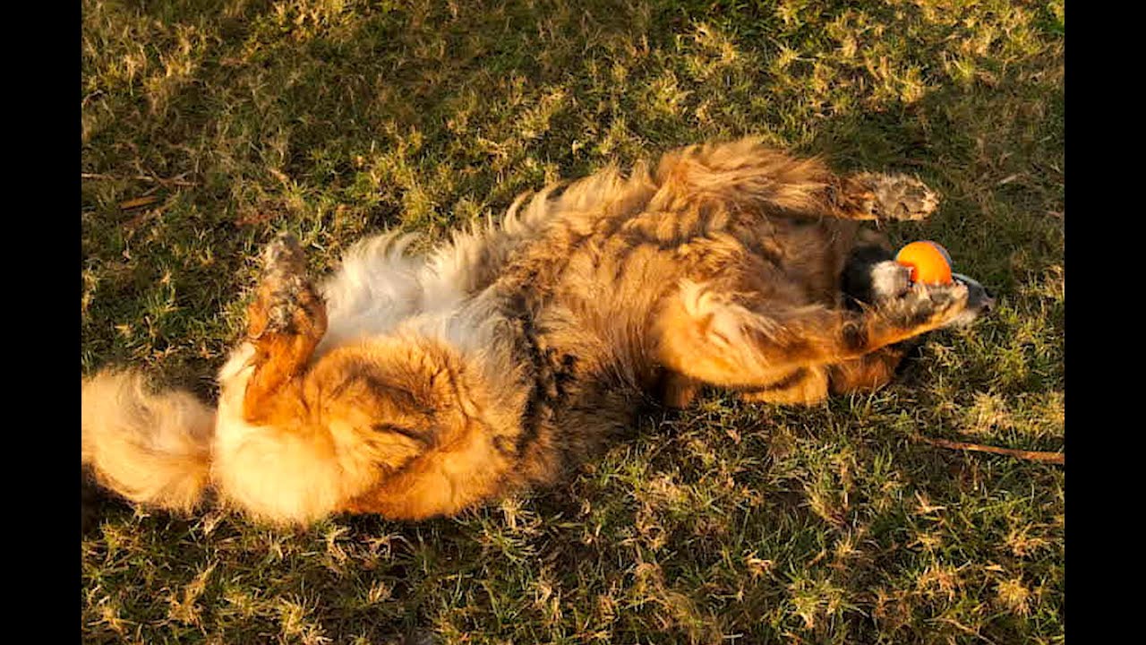 Amazing Grace: Mornings with Tzuri