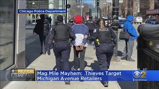 Retailers Express Worry About Crime After Mag Mile Thefts
