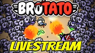 Taking On Endless Mode in Brotato - The SMG Festival