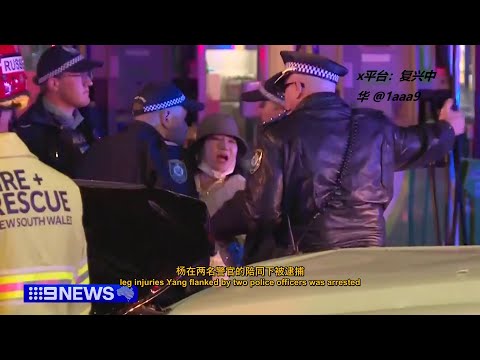 这个才是真的 杨兰兰 ,后面出现的戴眼镜的是替身