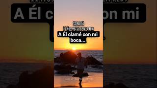salmo 66 #versiculodeldia #palabradios #frases #reflexionesdeldia #salmos