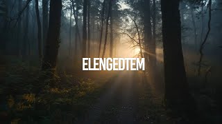 Elengedtem