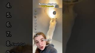 Ranking Funny Pet Moments