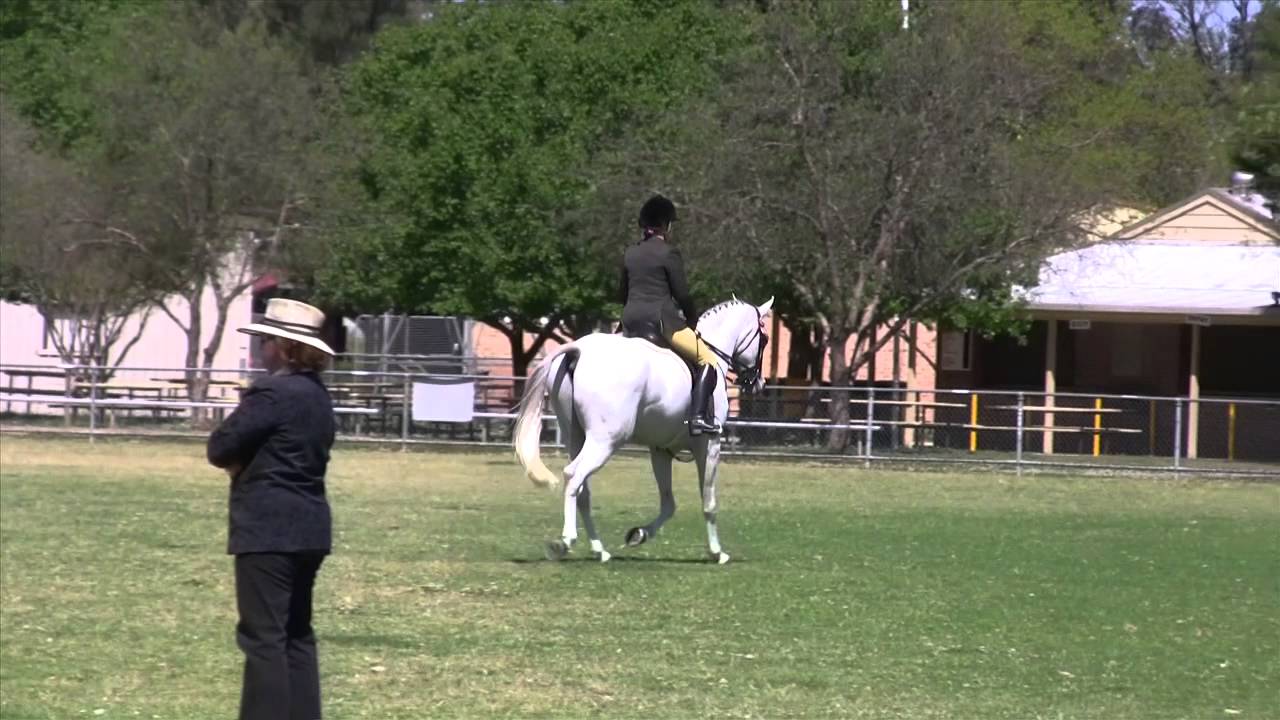 Crabbet Show Sept 30 2012
