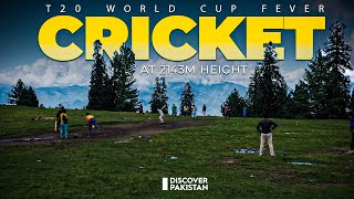 T20 World Cup Fever | Cricket at 2143m Height | Sudhan Gali Drone Shots screenshot 1