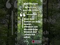 Stille ist kein Ziel – sie ist das Fenster, durch das du das Leben klar siehst.