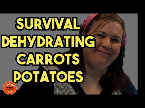 Create your own survival food, how to : Dehydrate carrots and potatoes