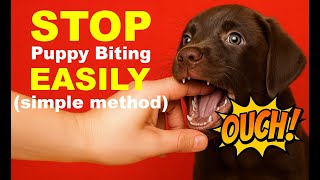 Puppy Biting Gets WORSE Without This Training Method