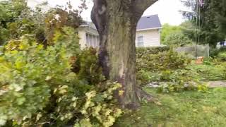Storm Damage , Lake Geneva, Marshal Street
