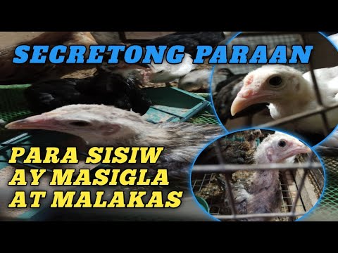 ผลสลากกินแบ่งรัฐบาล วันที่ 1 พย. 2567